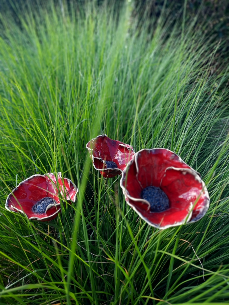 Klaprozen